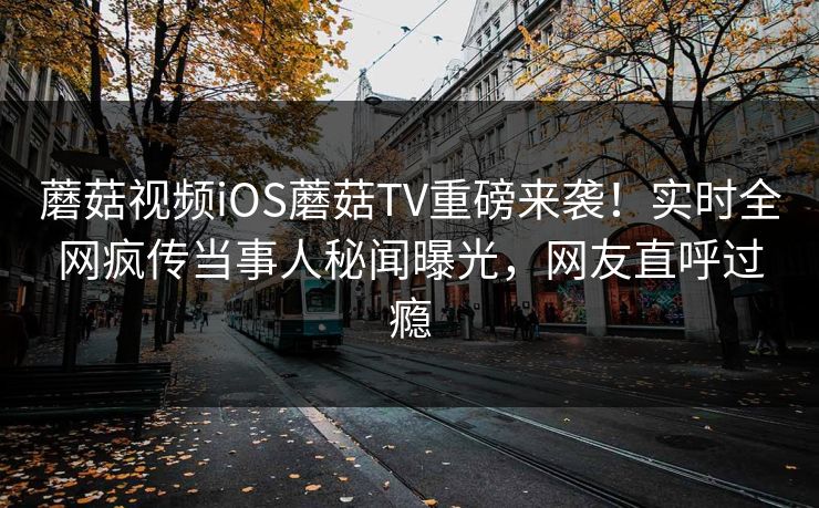 蘑菇视频iOS蘑菇TV重磅来袭！实时全网疯传当事人秘闻曝光，网友直呼过瘾