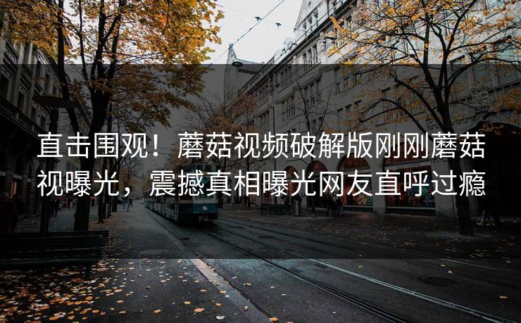 直击围观！蘑菇视频破解版刚刚蘑菇视曝光，震撼真相曝光网友直呼过瘾