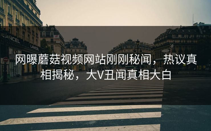 网曝蘑菇视频网站刚刚秘闻，热议真相揭秘，大V丑闻真相大白