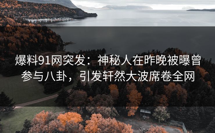 爆料91网突发：神秘人在昨晚被曝曾参与八卦，引发轩然大波席卷全网
