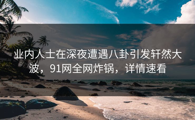 业内人士在深夜遭遇八卦引发轩然大波，91网全网炸锅，详情速看