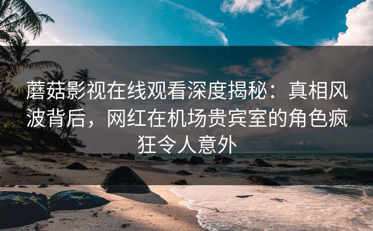 蘑菇影视在线观看深度揭秘：真相风波背后，网红在机场贵宾室的角色疯狂令人意外