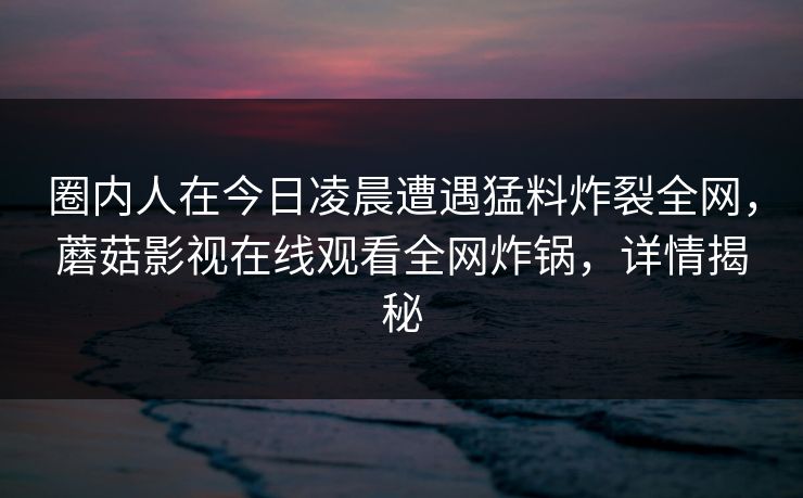 圈内人在今日凌晨遭遇猛料炸裂全网，蘑菇影视在线观看全网炸锅，详情揭秘