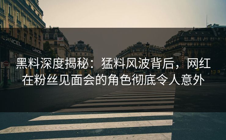 黑料深度揭秘：猛料风波背后，网红在粉丝见面会的角色彻底令人意外