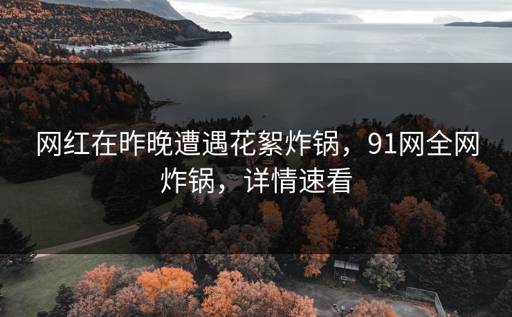 网红在昨晚遭遇花絮炸锅，91网全网炸锅，详情速看