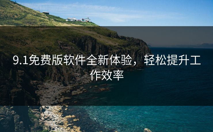 9.1免费版软件全新体验，轻松提升工作效率
