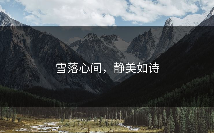 雪落心间，静美如诗